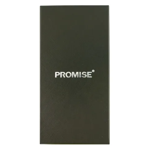 PROMISE BN311 турбо зажигалка для сигар